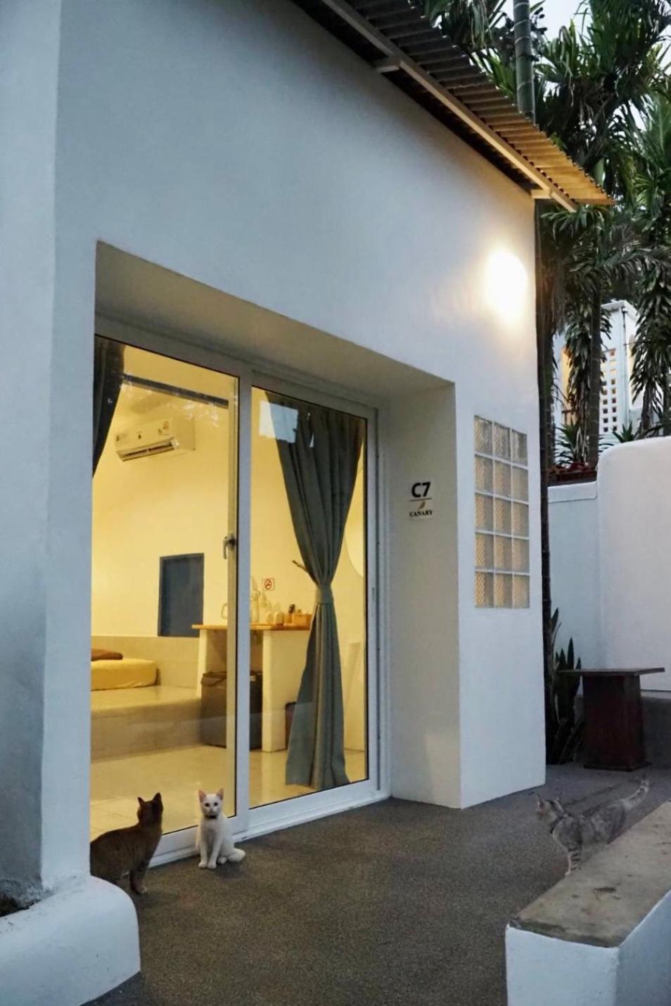 Canary Guesthouse Pai Oda fotoğraf
