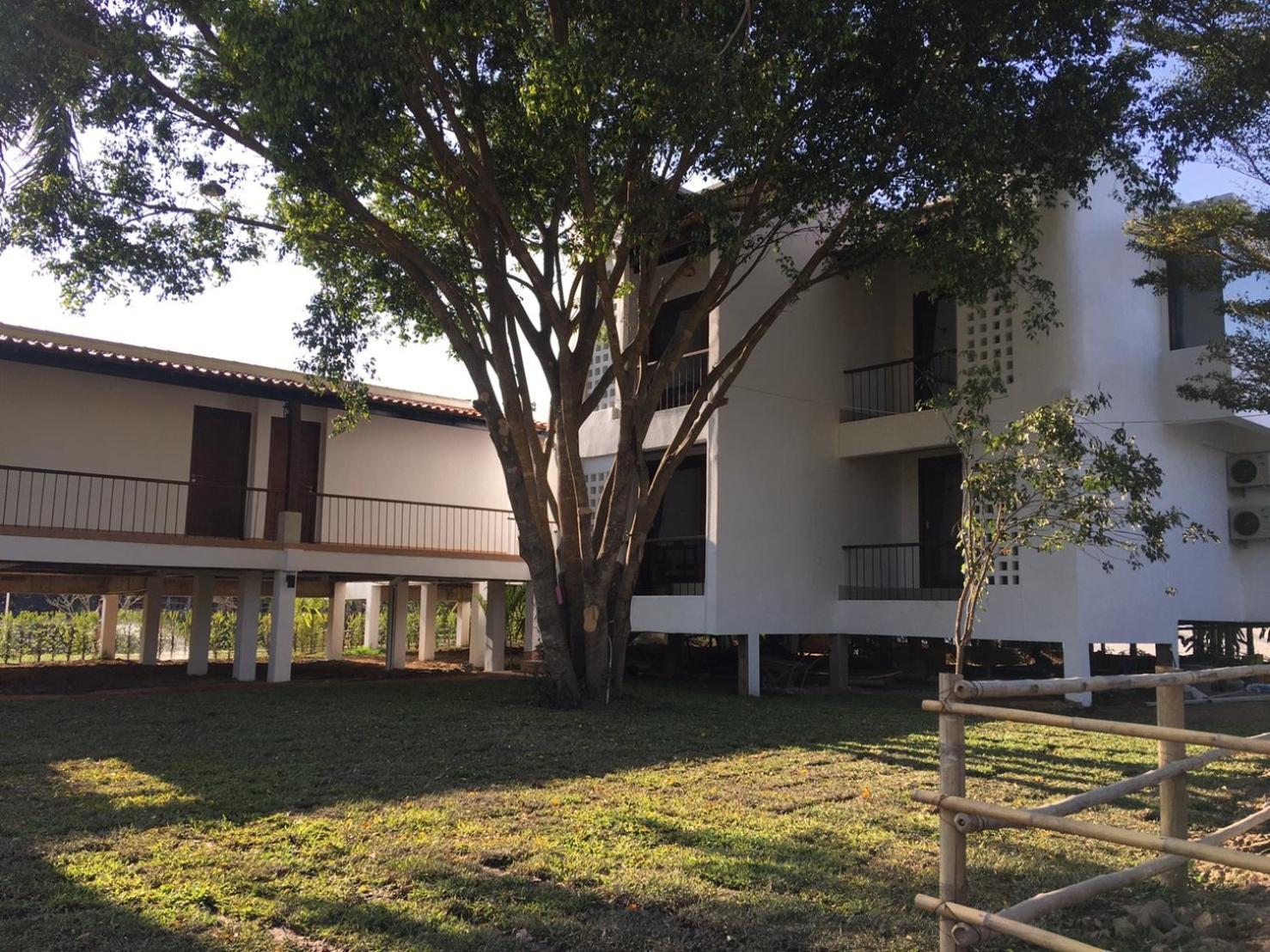 Canary Guesthouse Pai Oda fotoğraf